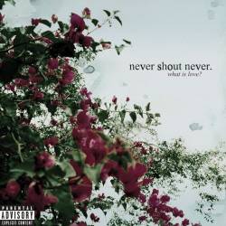 Never Shout Never : What Is Love?
